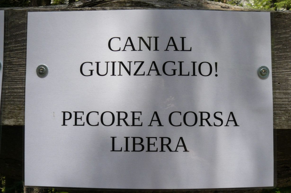 P1090770_sito